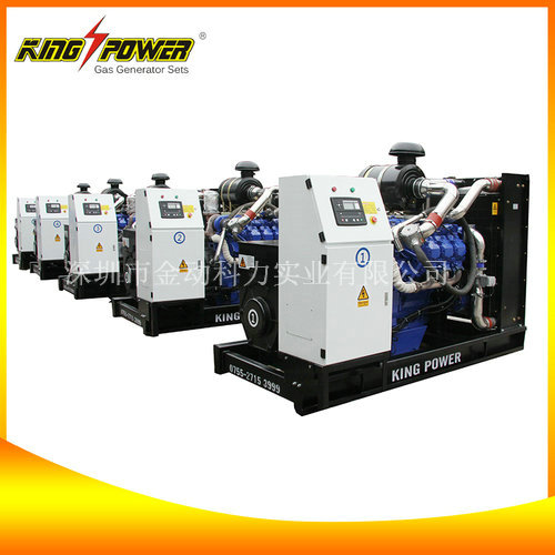 【頁巖氣發電機價格】的能源轉換！