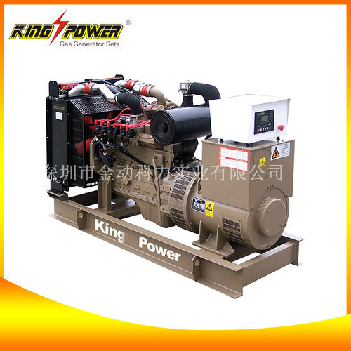 【頁巖氣發電機廠家】“能源”代表著實力!