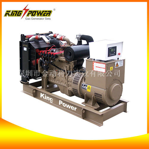 【廣東天燃氣發(fā)電機】天然氣的黃金時代！