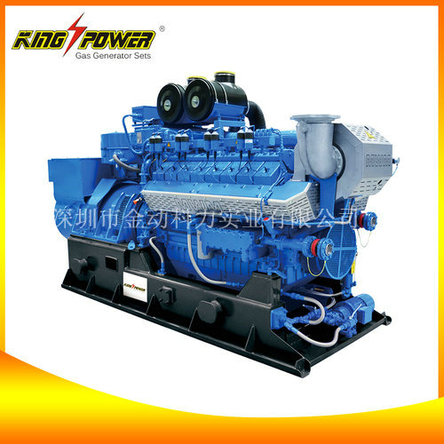 垃圾填埋沼氣發電機