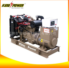 【廣東沼氣發電機】一個全新的設計制造